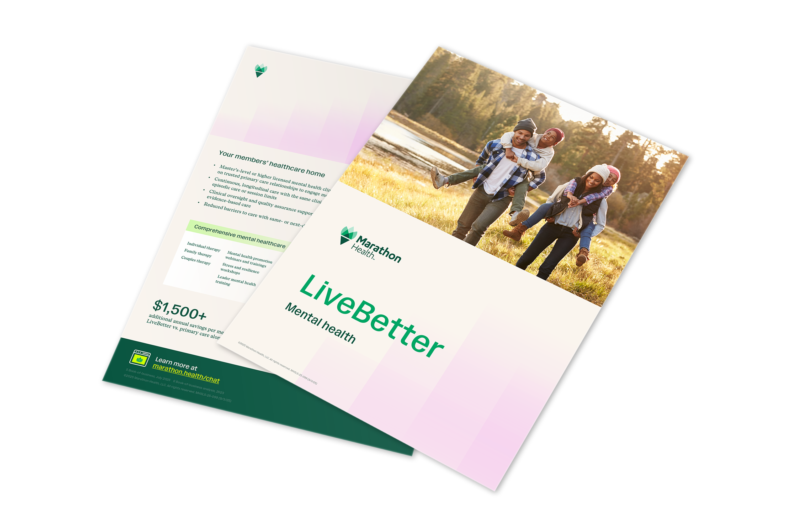 B2B2511_BLOG_1PG-MENTAL-HEALTH_LP-HERO