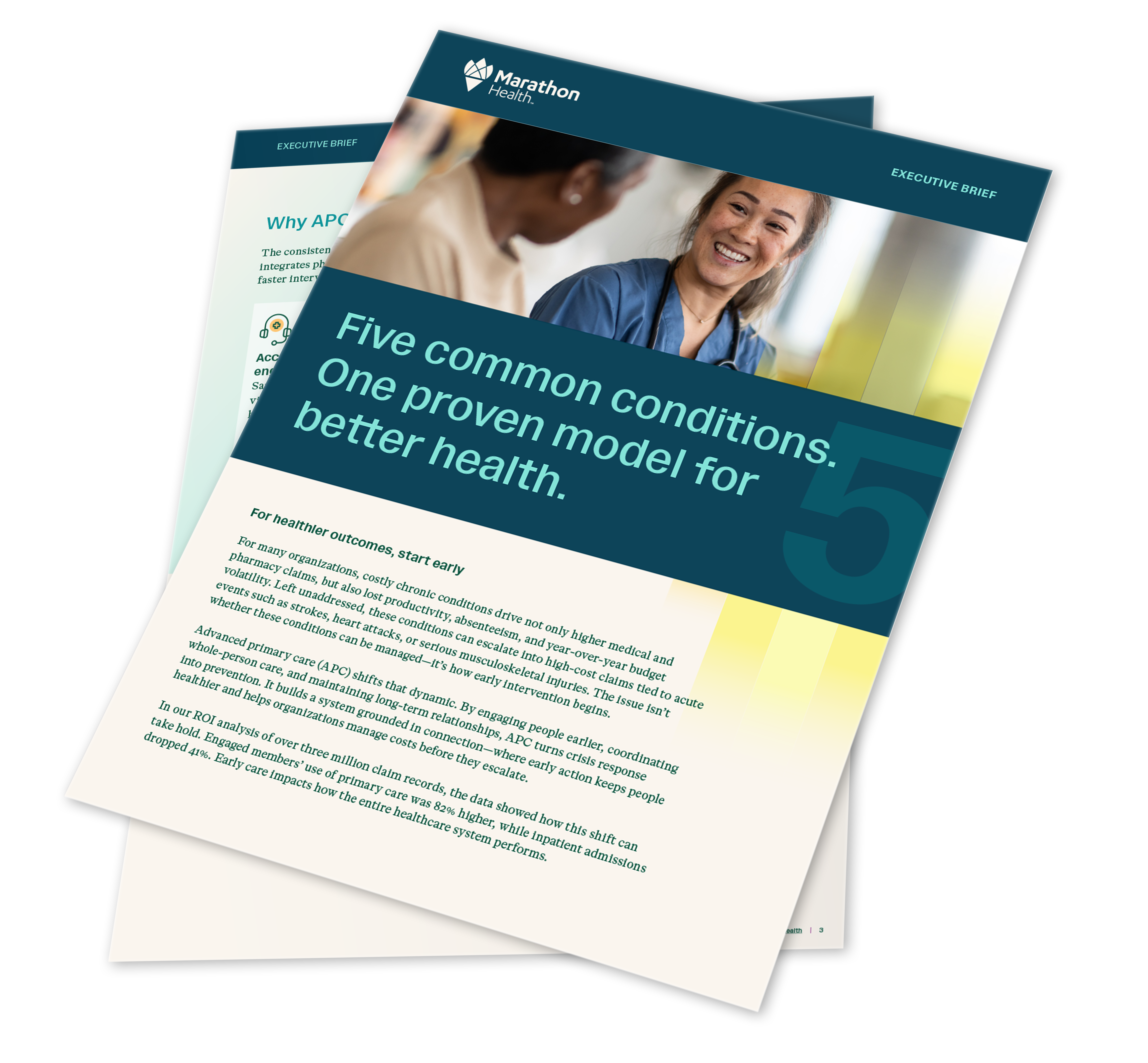 ROI 5 Conditions Executive Brief Preview