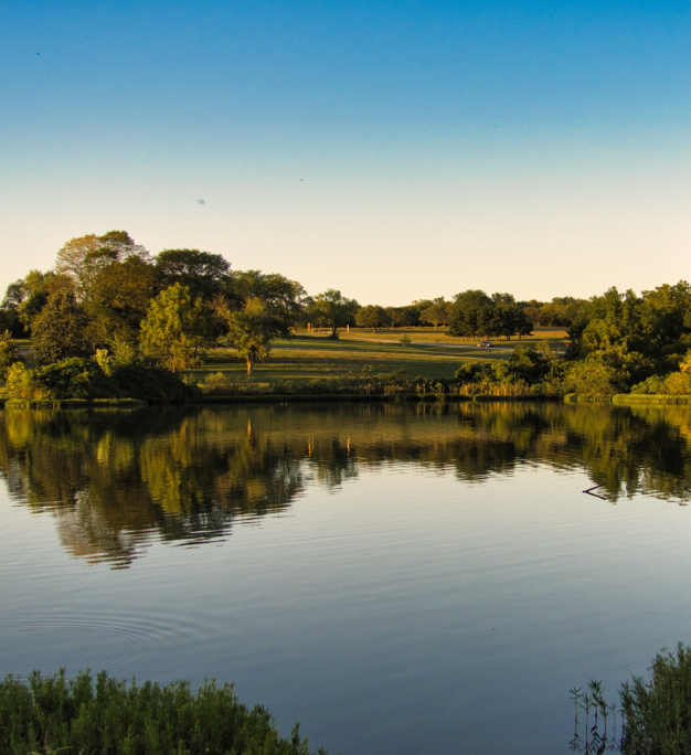 Calm lake reflecting surrounding trees and grassland at golden hour