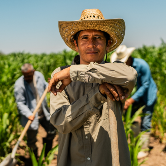 A worker in a straw hat leans on a tool handle in a green field as others work behind